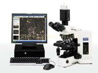 专业偏光显微镜BX51-P
