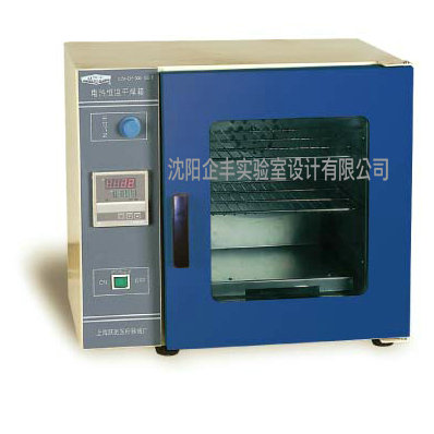 电热恒温干燥箱     GZX-DH.600-BSII