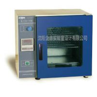 电热恒温干燥箱     GZX-DH.600-BSII
